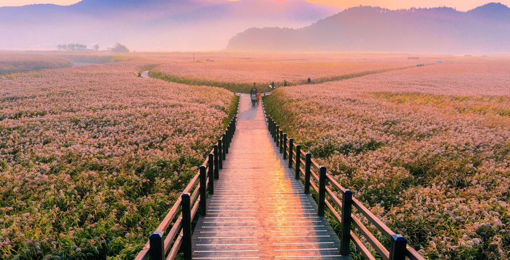 Viajes a Corea del Sur