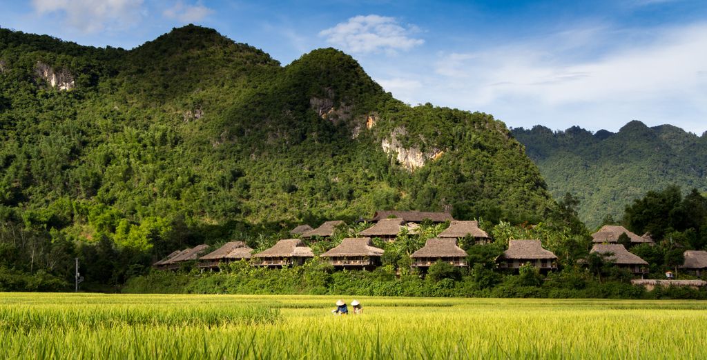 Tour privato: La bellezza del Nord con possibile estensione a Phu Quoc