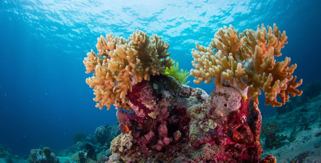 Tour privato: Esplorazioni sull'Isola degli Dèi 