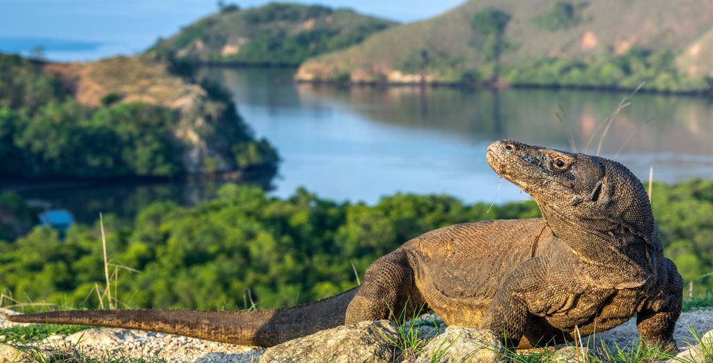 Tour privato: Esplorazioni sull'Isola degli Dèi 