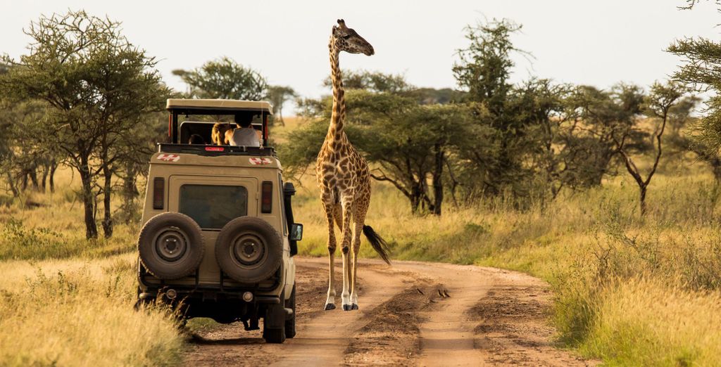 Safari in 3 o 5 notti e Sun Palm Beach Resort 4*