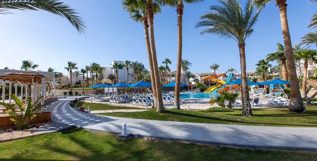 Naama Bay Hotel & Resort 5*