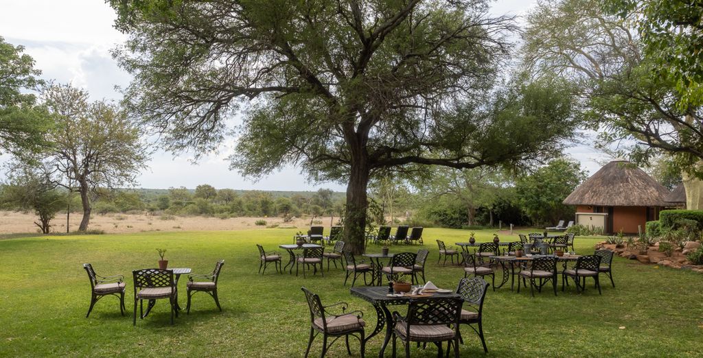 Soggiorno multiattività: Mohlabetsi Safari Lodge e Premier Hotel O.R. Tambo 4*