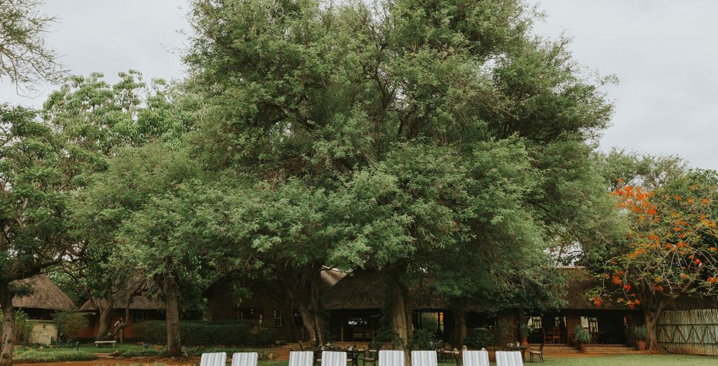 Soggiorno multiattività: Mohlabetsi Safari Lodge e Premier Hotel O.R. Tambo 4*