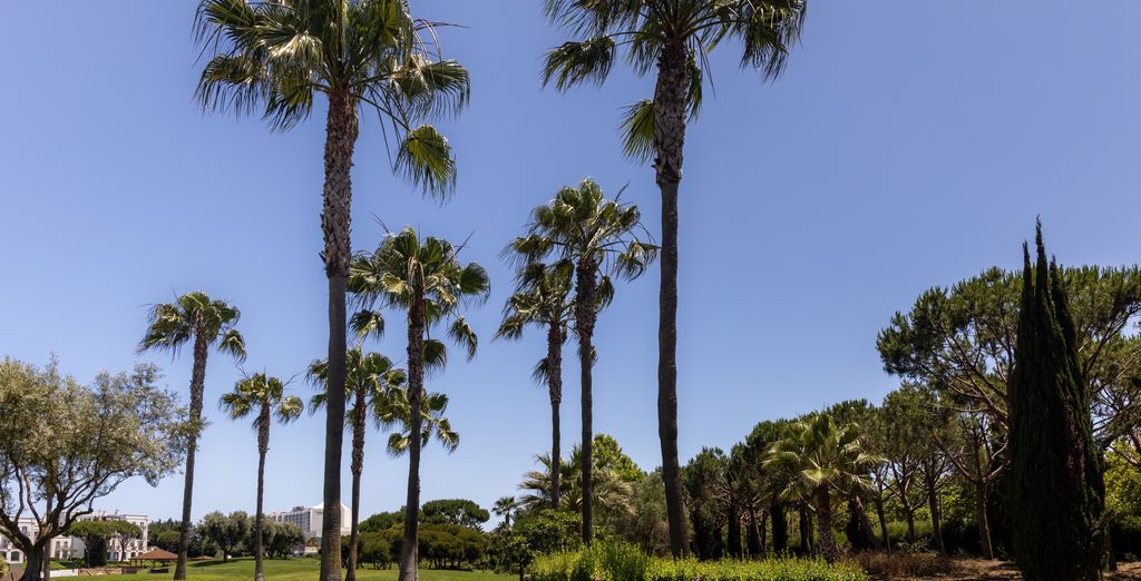 Domes Lake Algarve, Autograph Collection 5*