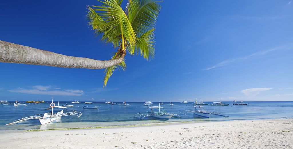 Tour privato: Le Visayas, tra risaie e spiagge turchesi