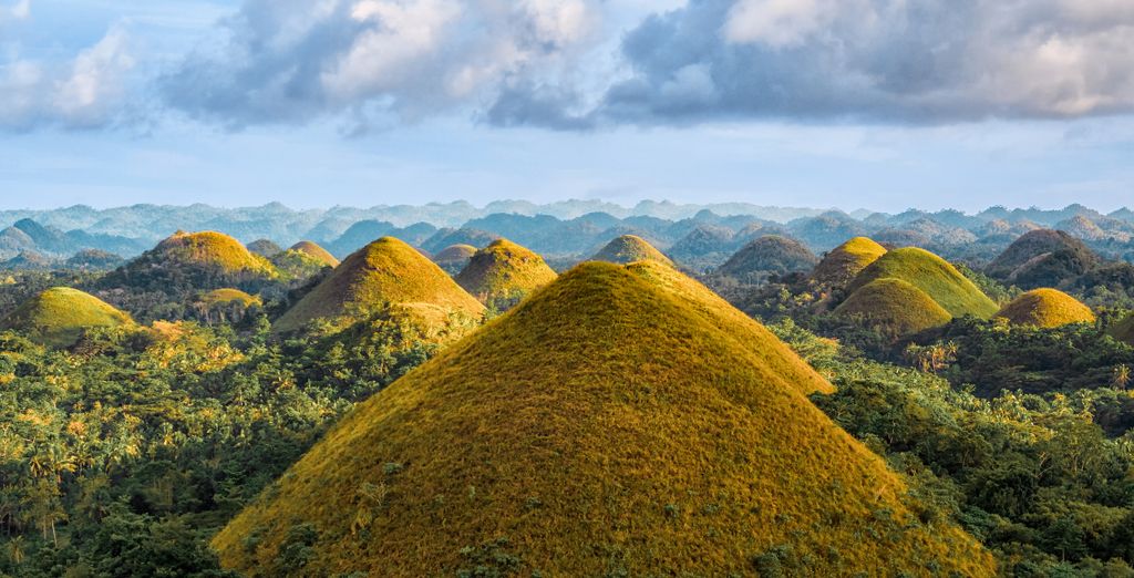 Tour privato: Le Visayas, tra risaie e spiagge turchesi