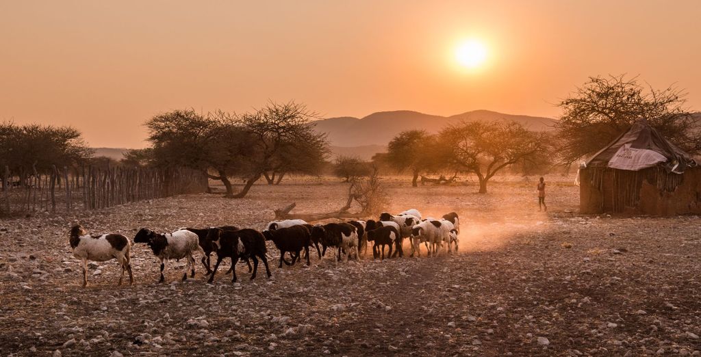 Tour in auto o tour privato: La Namibia da non perdere