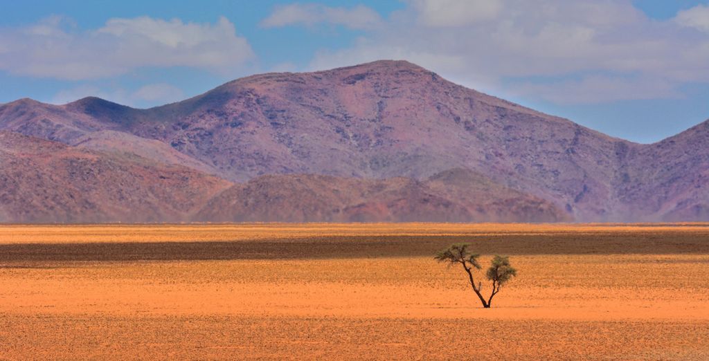 Tour in auto o tour privato: La Namibia da non perdere