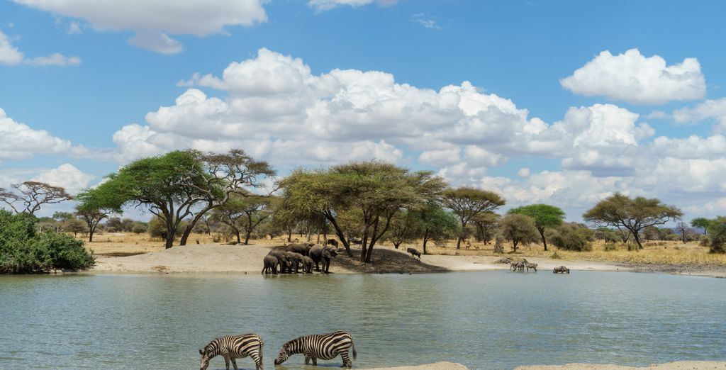 Safari con estensione presso l'Hotel Waridi Beach Resort & Spa 4*