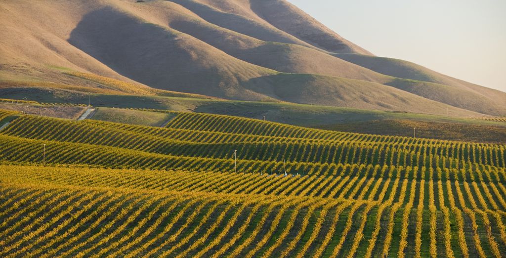 Autotour: Alla scoperta della California