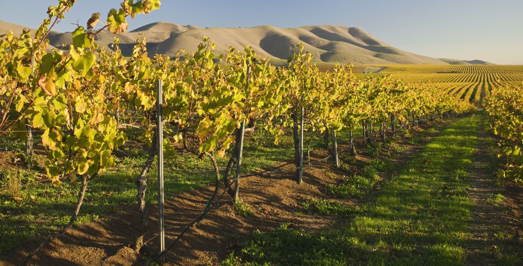 Autotour: Alla scoperta della California