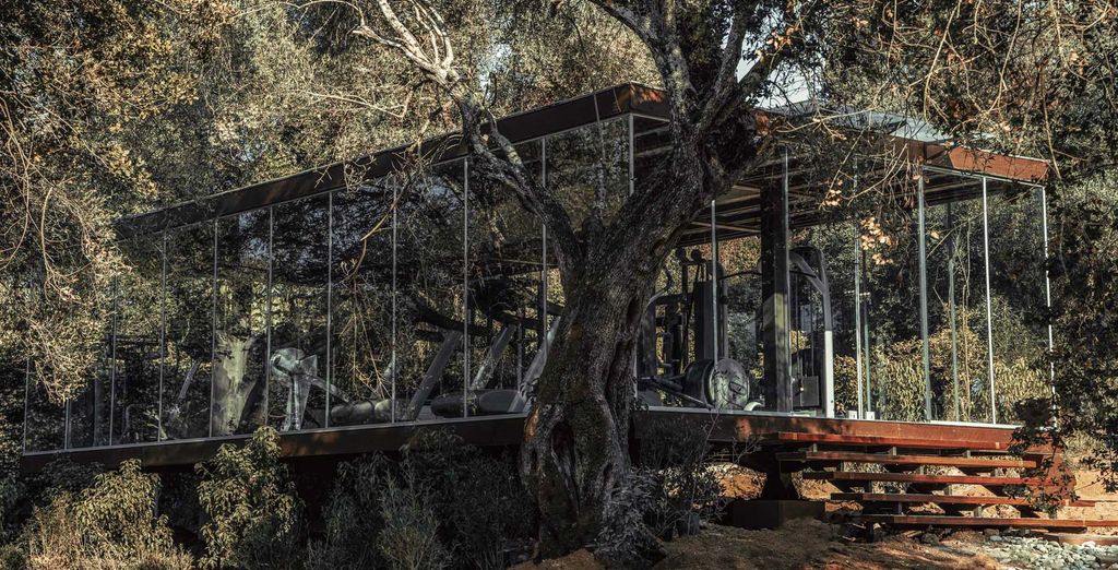 Cook's Club Corfou 5* - Adults Only