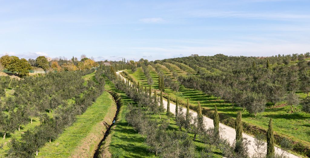 Il Podere di Marfisa