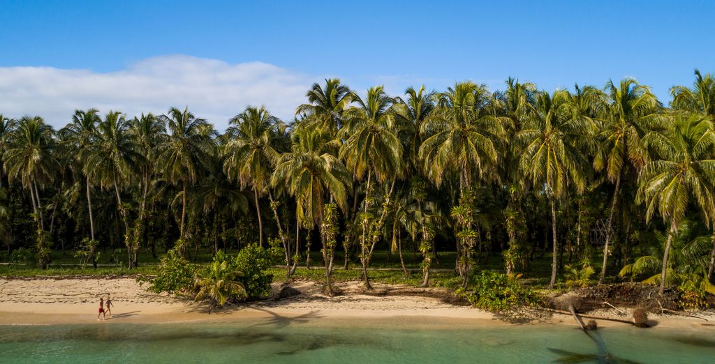 Tour di gruppo: Giungla, spiagge e città di Panamá