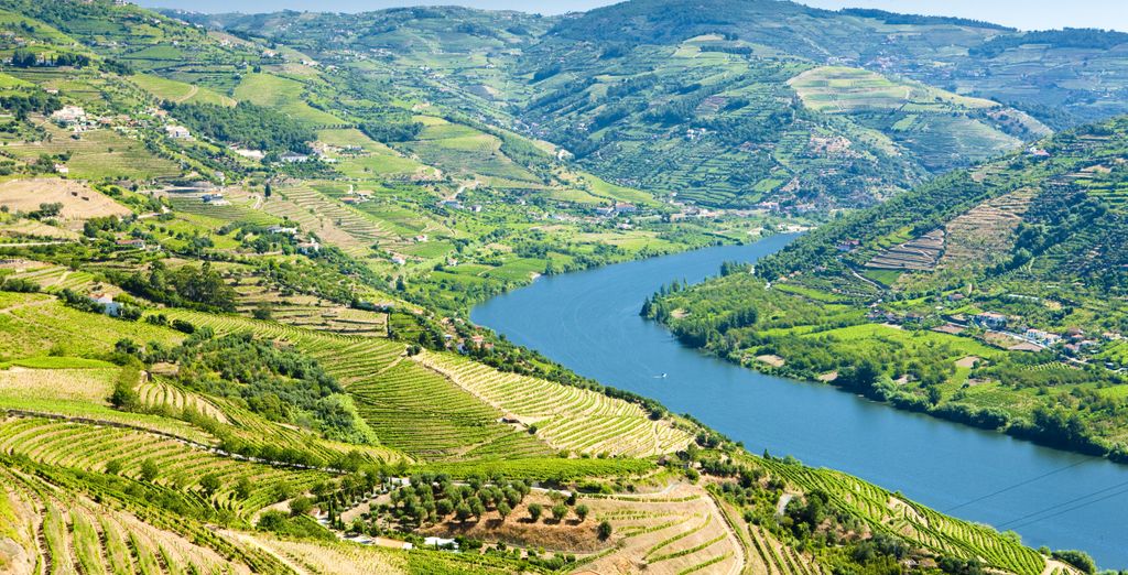 Autotour: Avventura nella regione del Douro