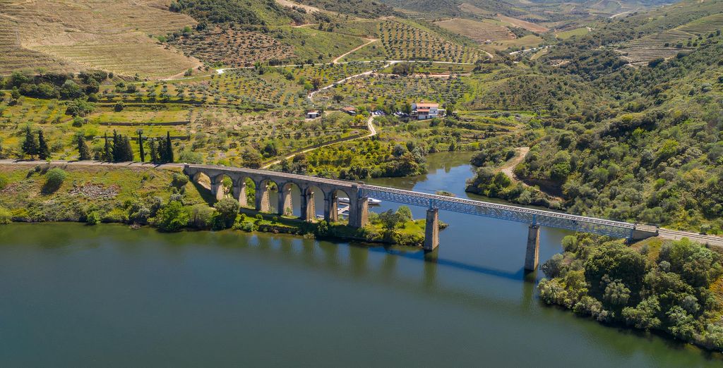 Autotour: Avventura nella regione del Douro