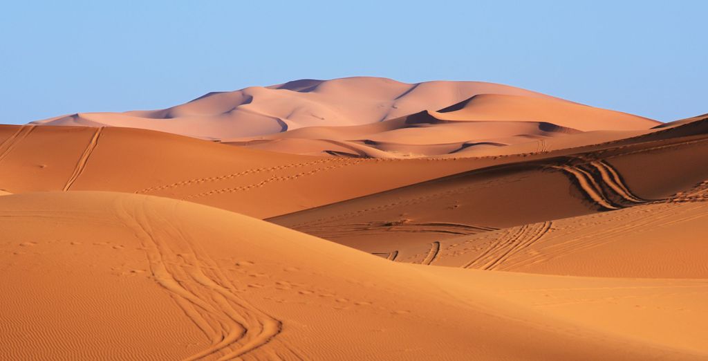 Tour di gruppo: Strade vibranti, sabbie antiche e sogni del deserto