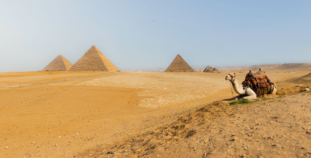 Tour di gruppo: Il Cairo e il Grande Museo Egizio