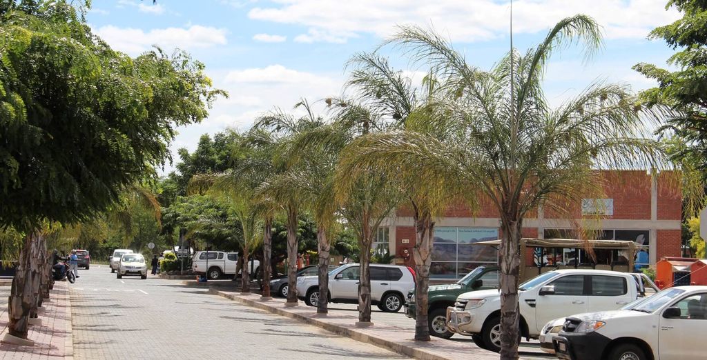 Combinato 4* Radisson Hotel Cape Town e Radisson Safari Hotel Hoedspruit