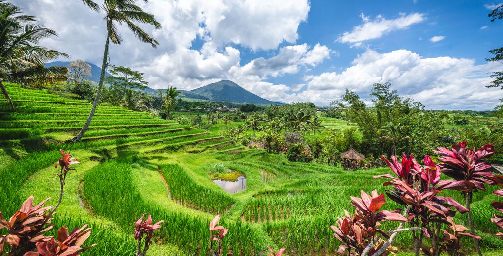 Asvara Villa Ubud by Ini Vie Hospitality 5*, Anema Resort Gili Lombok 5*, Renaissance Bali Uluwatu Resort & Spa 5*
