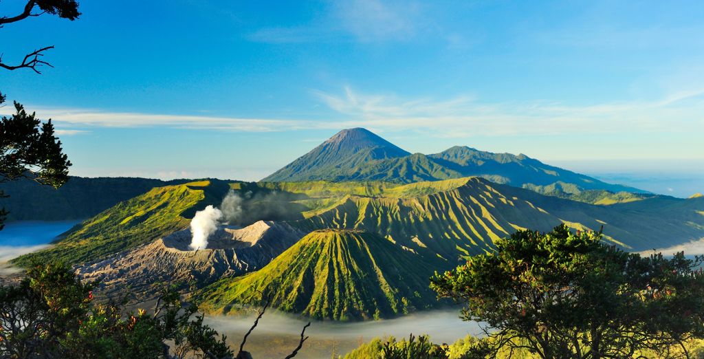 Tour privato: Dai vulcani maestosi ai segreti tropicali