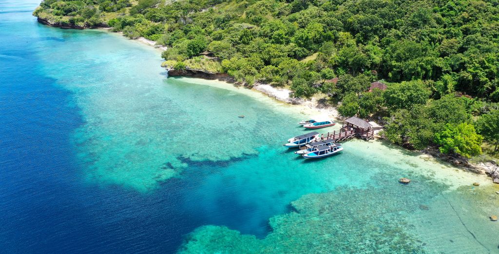 Tour privato: Dai vulcani maestosi ai segreti tropicali