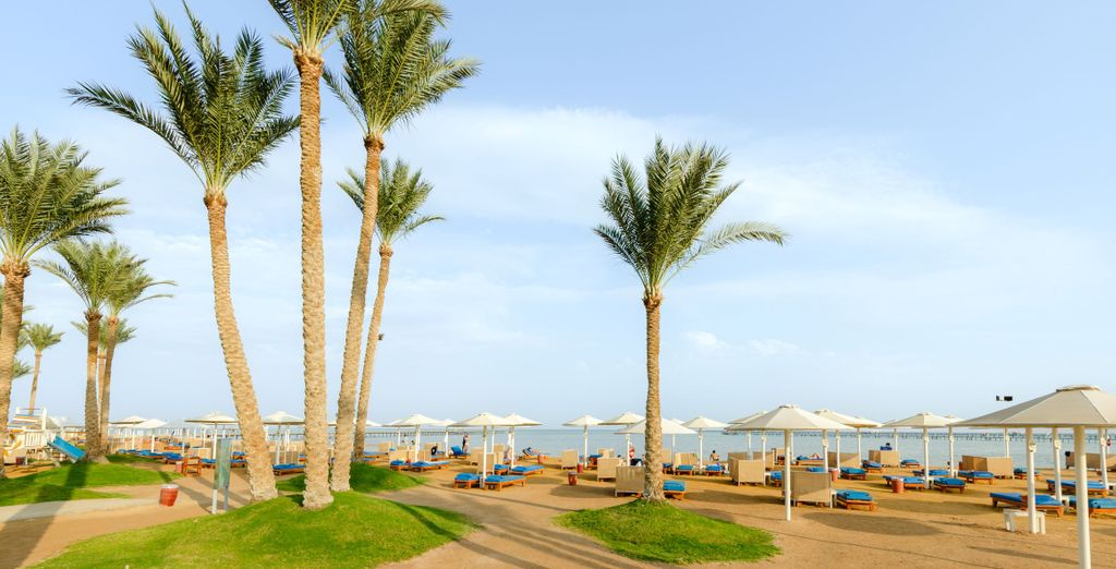 Albatros Laguna Vista Resort 5*