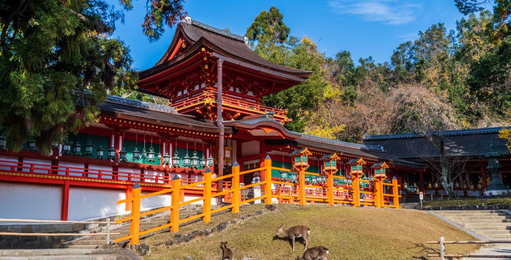 Tour in libertà: Monte Fuji e i tesori nipponici
