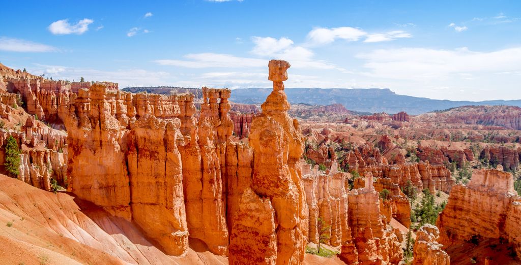 Tour in auto: Il meglio del West