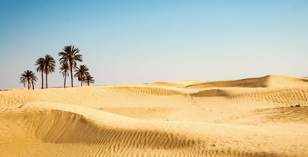 Circuit en groupe : Rose des sables