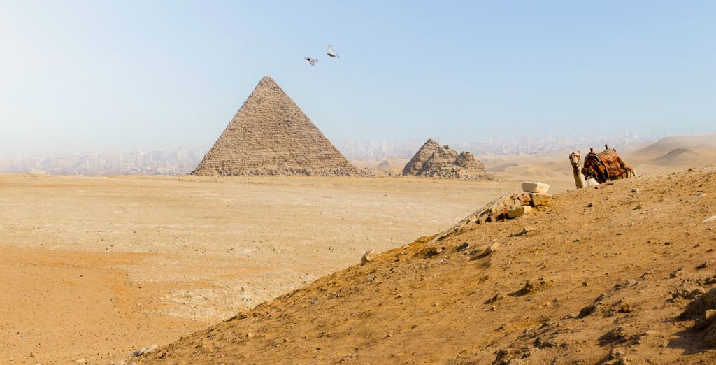 Tour di gruppo: Dalla capitale all'Antico Egitto lungo il Nilo