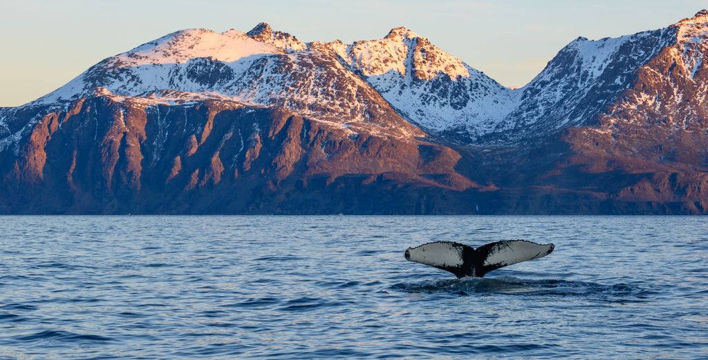 Croisière : Laponie et la route du Cap Nord