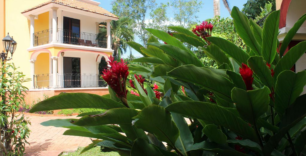 Autotour: I luoghi imperdibili dello Yucatan 