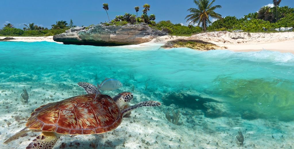 Autotour: I luoghi imperdibili dello Yucatan 