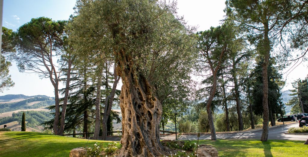 Palazzo di Varignana Resort & Spa 4*