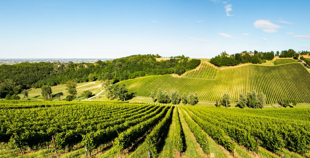 Palazzo di Varignana Resort & Spa 4*