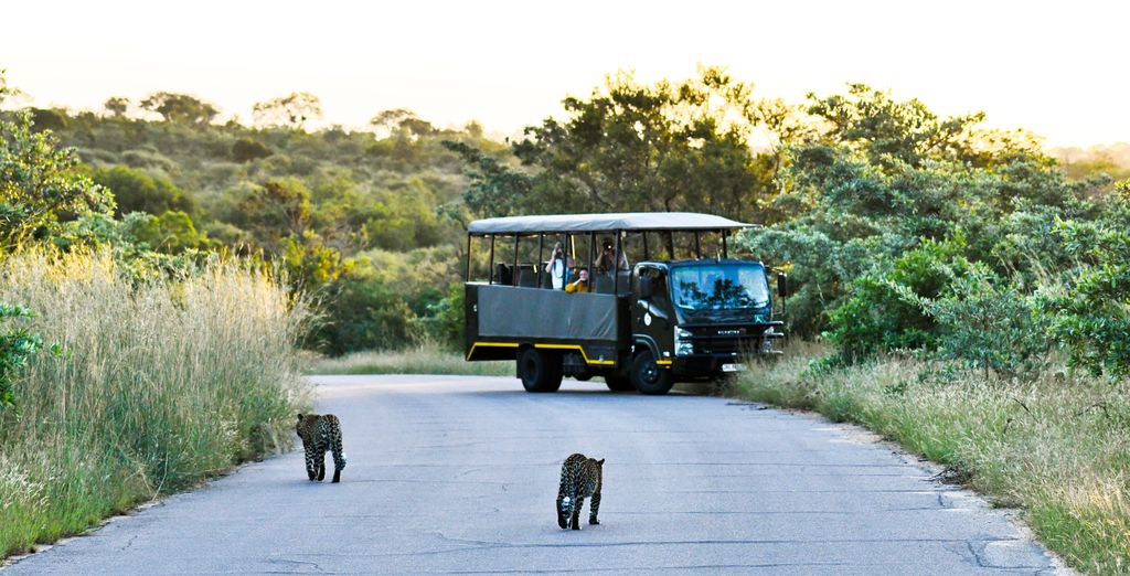 Skukuza Safari Lodge con pre e post-estensione a Johannesburg