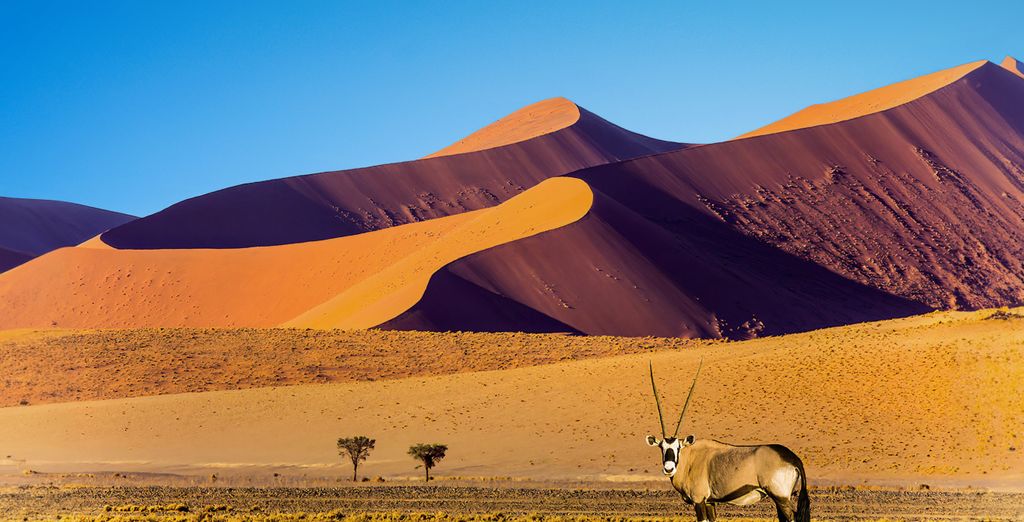 Autotour: Von Windhoek zu den Victoriafällen