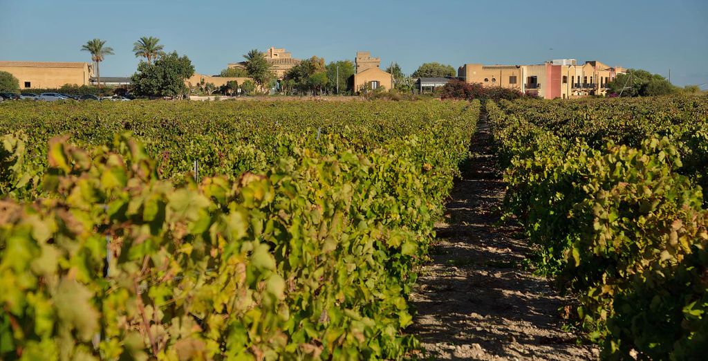 Baglio Oneto dei Principi di San Lorenzo - Luxury Wine Resort 5*
