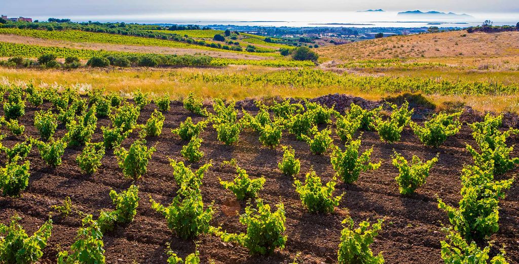 Baglio Oneto dei Principi di San Lorenzo - Luxury Wine Resort 5*