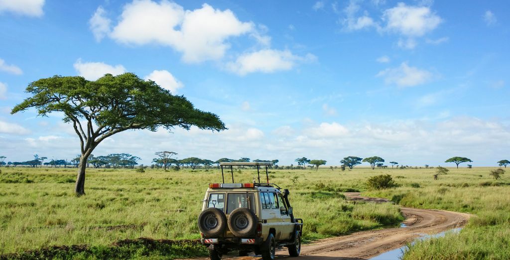 Combinato: Radisson RED Johannesburg Rosebank 4* e Radisson Safari Hotel Hoedspruit 4*