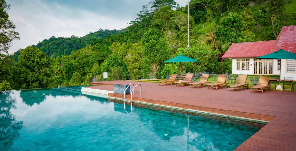 Tour privato: I luoghi da non perdere in Sri Lanka 