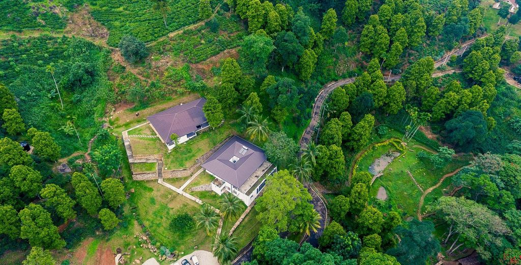 Tour privato: I luoghi da non perdere in Sri Lanka 