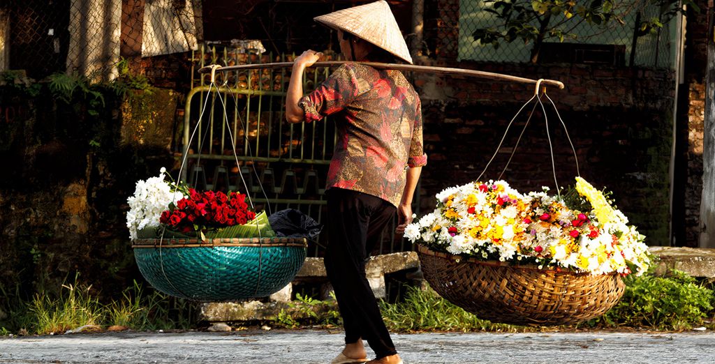 Tour privato: Tra i sorrisi del Nord con possibile estensione a Ho Chi Minh e Mui Ne 