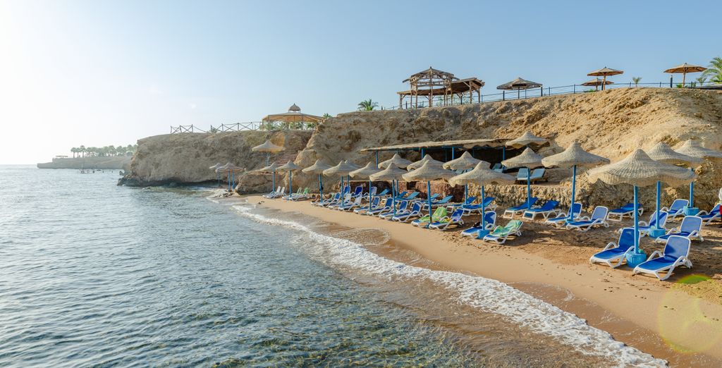 Club Reef Resort 4*