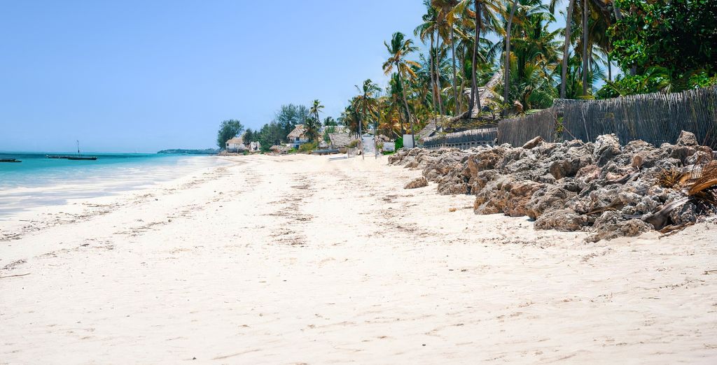 Sharazad Wonders Stone Town e Fundu Lagoon Pemba Island