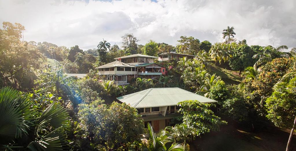 Autotour : Trésors naturels costariciens et extension possible au Corcovado