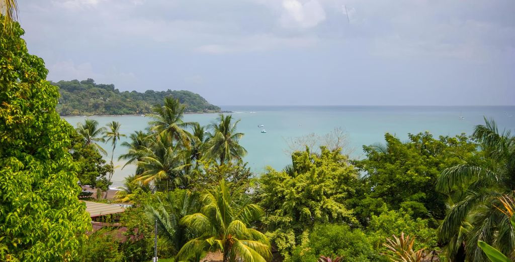 Autotour : Trésors naturels costariciens et extension possible au Corcovado