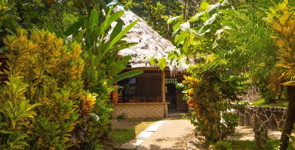 Autotour : Trésors naturels costariciens et extension possible au Corcovado